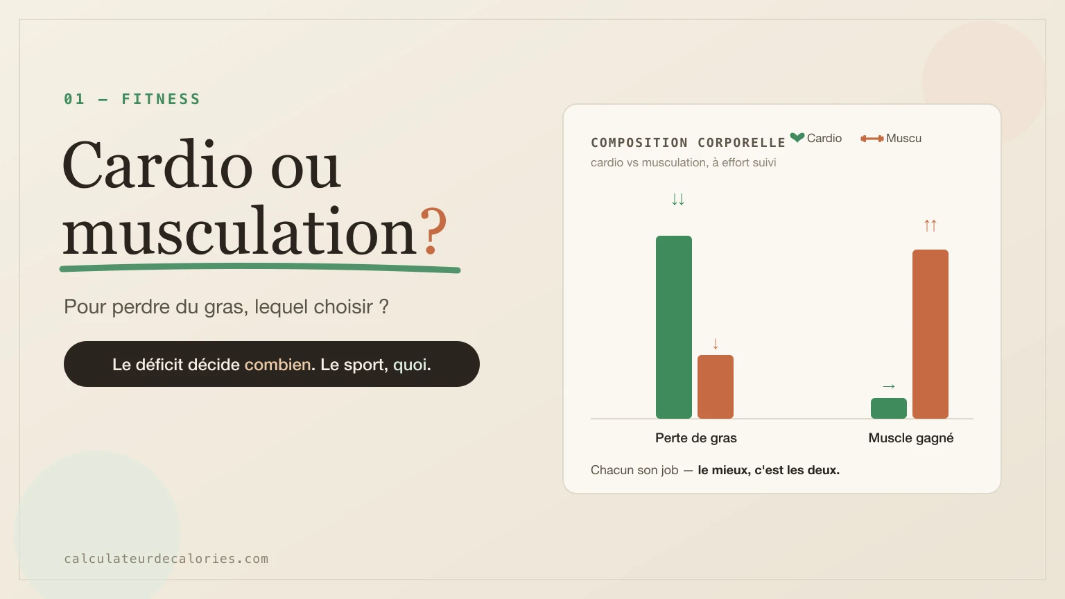 Cardio ou musculation pour perdre du poids ? Ce que dit la science