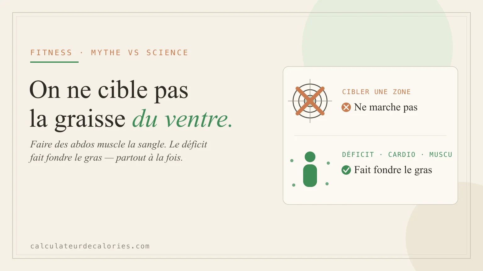 Faire des abdos fait-il perdre du ventre ? La vérité sur la graisse localisée