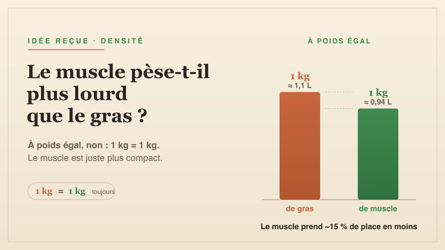 Le muscle pèse-t-il vraiment plus lourd que le gras ?