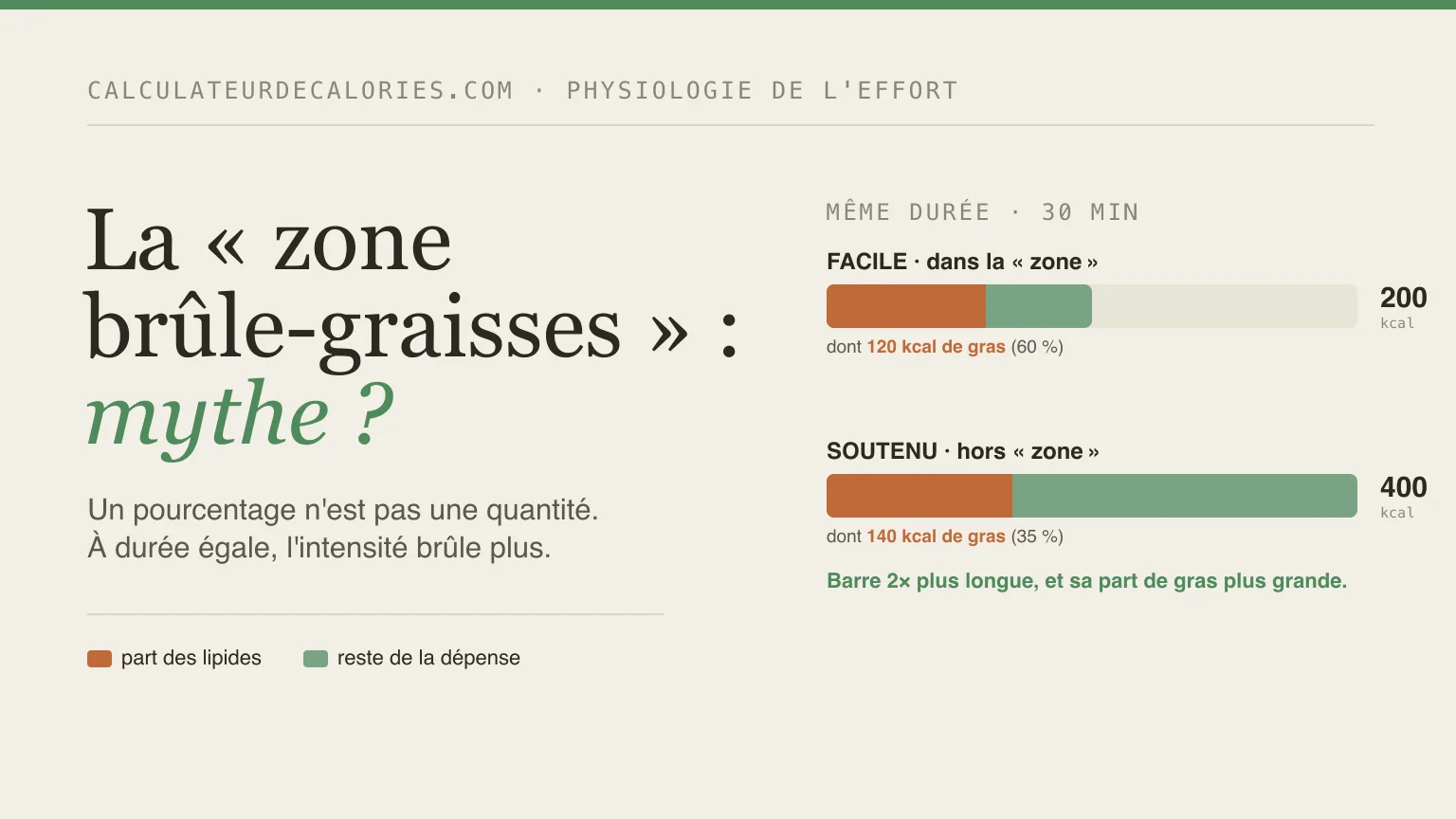 « Zone de combustion des graisses » : mythe ou réalité ? Ce que dit vraiment la science