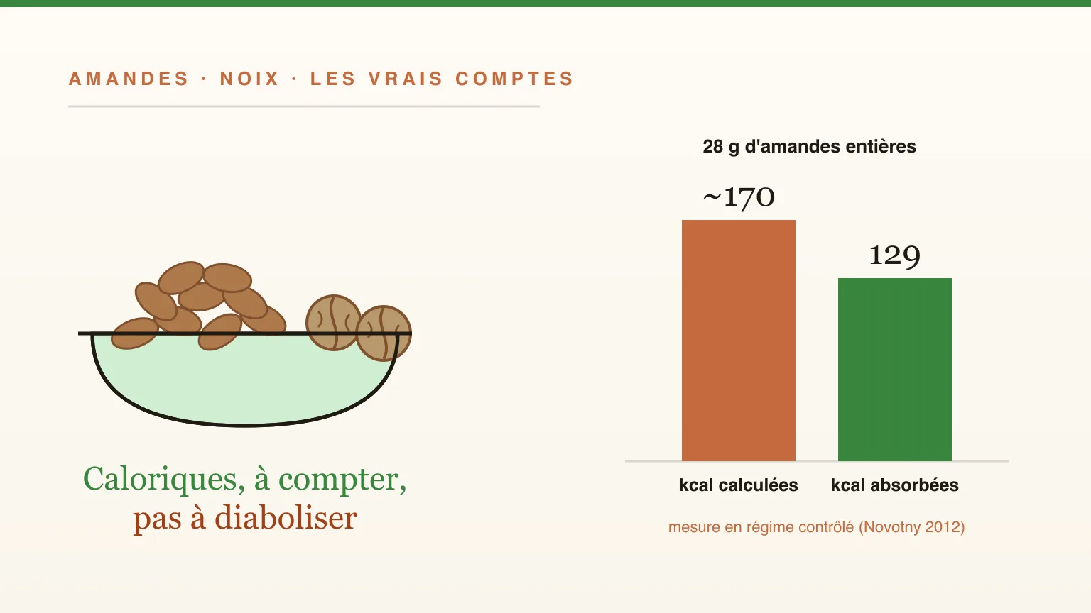 Les amandes et les noix font-elles grossir ? Calories par poignée et ce que montrent les essais
