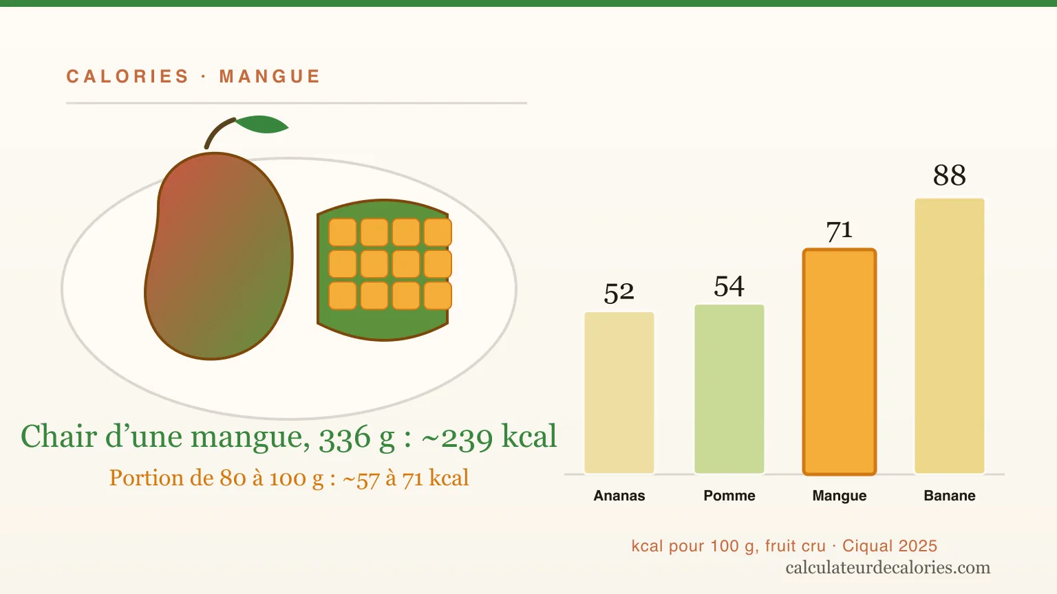 Combien de calories dans une mangue ? Par fruit, portion et séchée